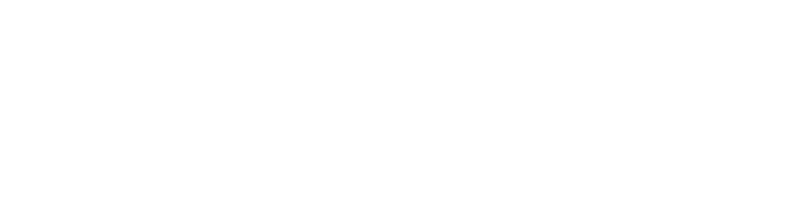 Wise Ads